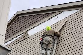 Shed Removal